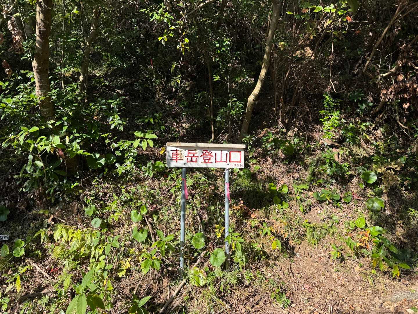 一旦車道に出て、右に約250m
車岳登山口です。