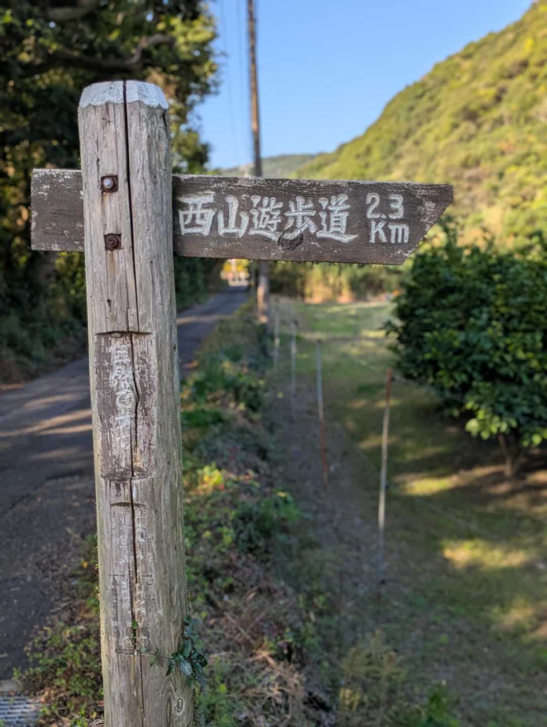 西山 往復コースの写真