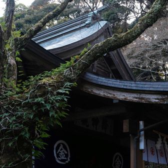 金乃比羅神社に着いたら、いつもホッとします。