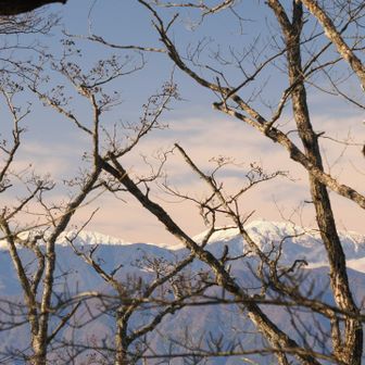南アルプス...
この稜線からは見晴らしが利きません