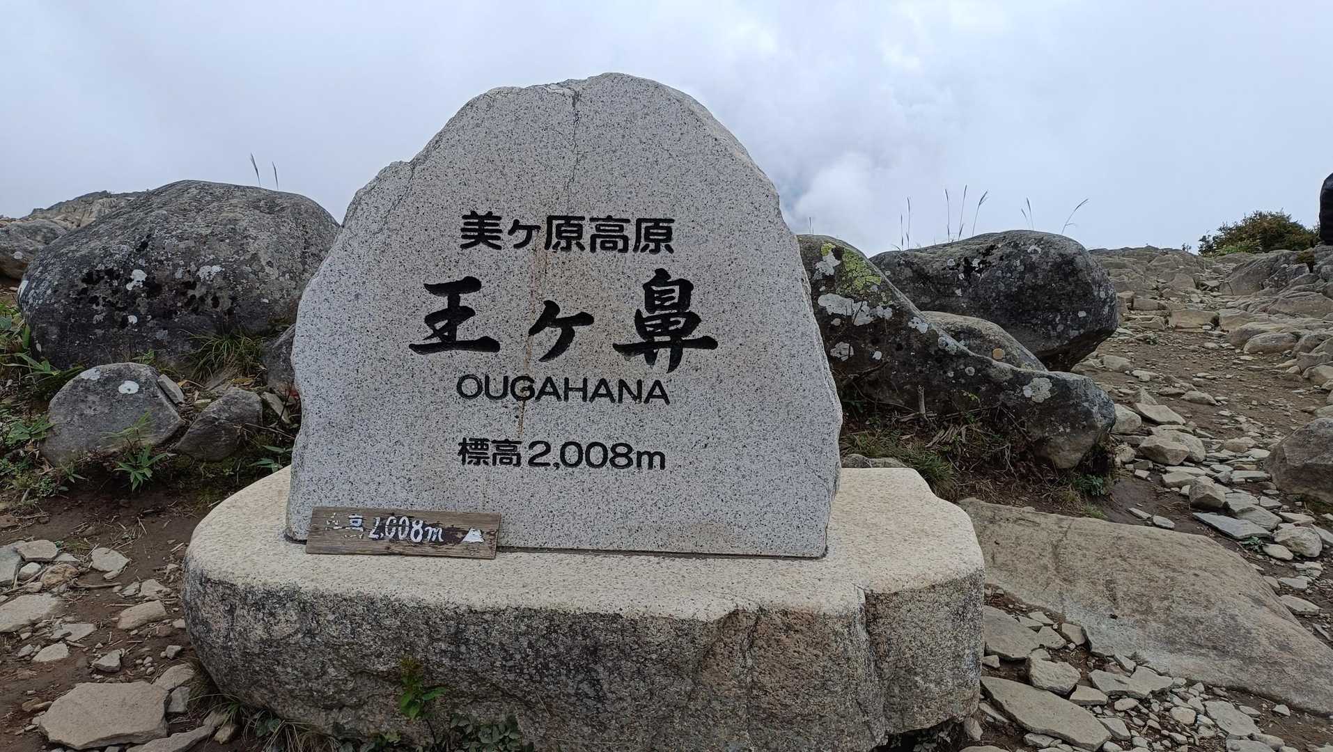 桜清水登山口-王ヶ鼻-美ヶ原 周回コースの写真
