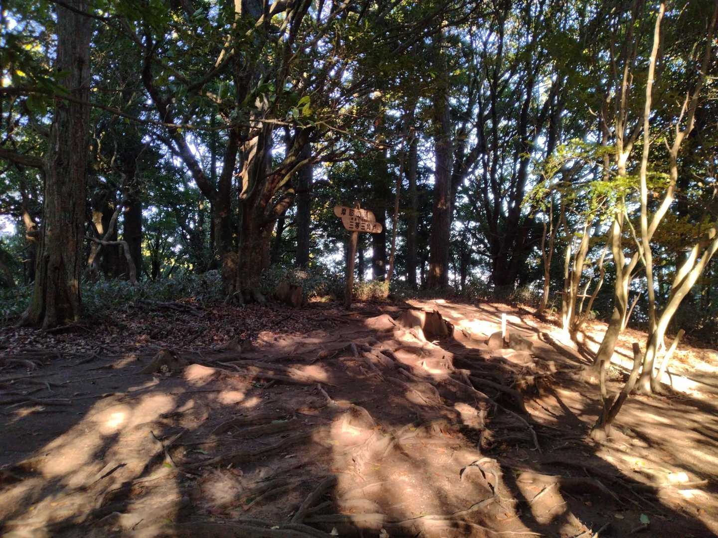 涼しい〜
前回まで汗だくだったのに