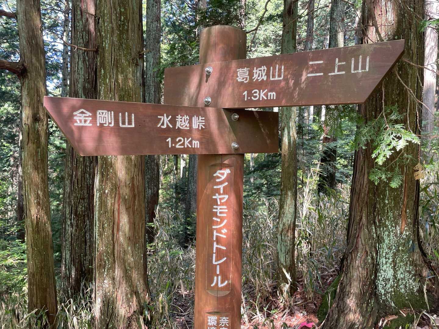 分岐。此処でほぼ半分くらい。