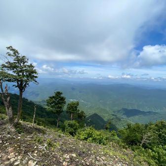 今日は雲が多いな☁️
でも、風が気持ち良い