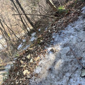 登山口すぐから滑りそうでしたぁ。