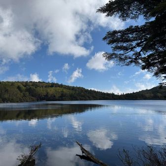 白駒池の水面が鏡のよう