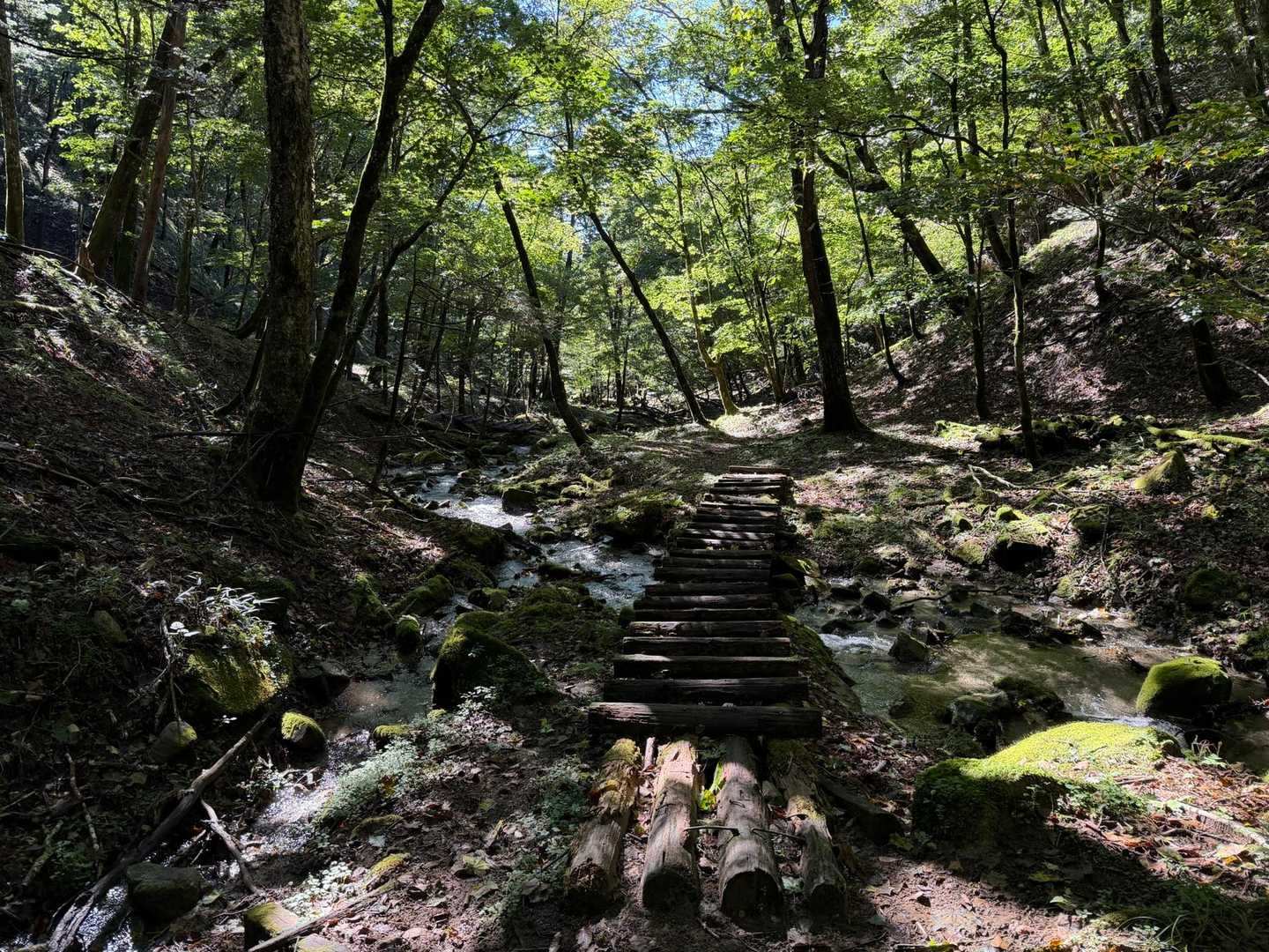 せっかくの晴れだけど早々に下山
温泉入って帰りました✨

笠取山
これからの季節、きっと何度も来ちゃうと思います😁