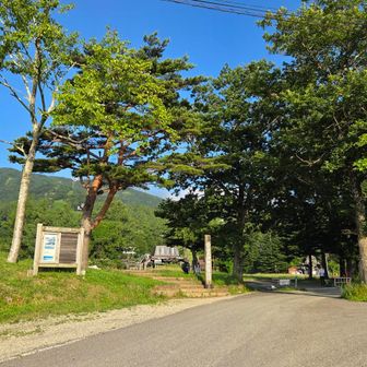 暑いから登りはのんびり行きましょう！