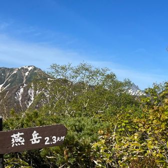 遠くに見えます⛰️