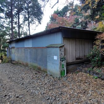 観音茶屋💡午後3時48分通過