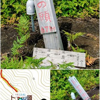 トヤの頭到着    
この辺りから残りの水が不安になってきたが女房 関係なくガブガブ飲んでる😵‍💫