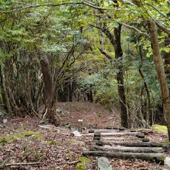 こっちは白滝山、石堂山へ行く縦走路