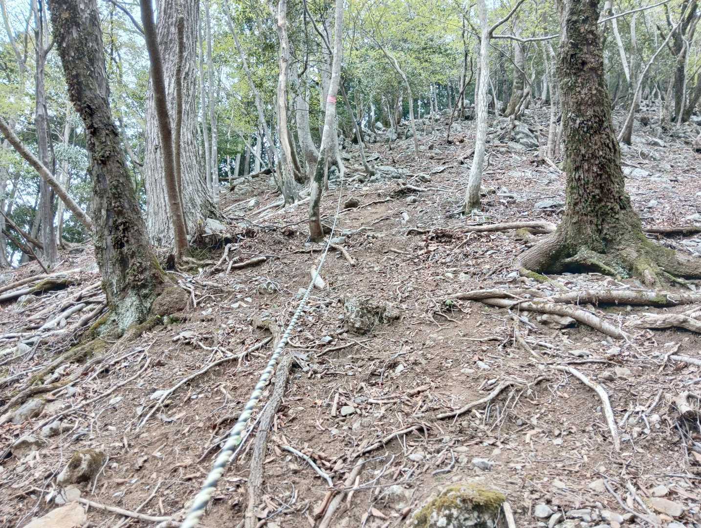 急登のロープ場🪢😨