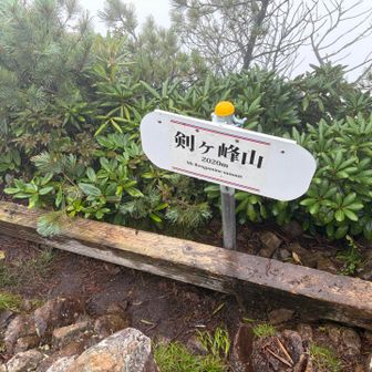 剣ヶ峰山に到着、山道に標識あり
ここから長い☔️の2時間下山でした😅