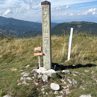 誰もいないゼブラ山