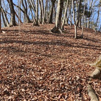 ルートはよく見えないので直登🤣