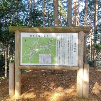 
大きな 山城 🏯だったようです
美濃のマムシ 斎藤道三も
関わりが あったようです

低山ハイクに 山城趾は 付き物 です
これからも 色々と 行きたいです
