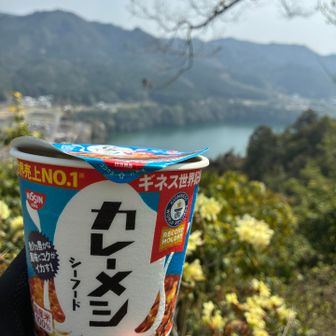 今日もお昼はカレーメシ。