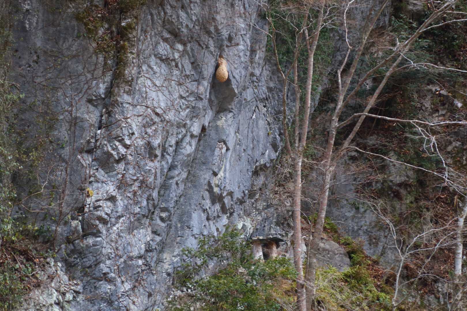 岩宇土山登山口-岩宇土山-上福根山 周回コースの写真