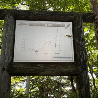 これ見てまた西日本最高峰にびびる私🥲