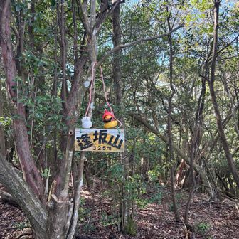 逢坂山山頂✨