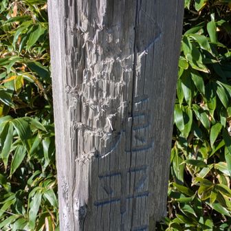 ウサギの頭をたたき割ったのは誰？