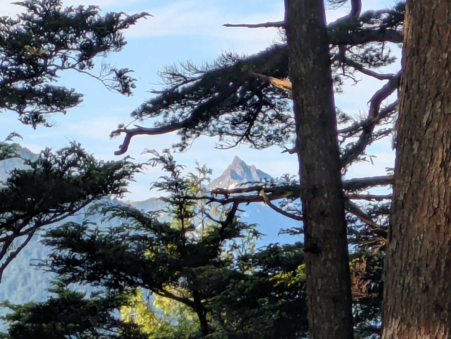 木々の隙間から槍ヶ岳😆