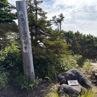 あっという間に山頂⛰️
横手山⛰️