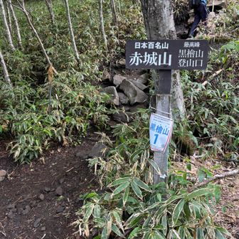 登山口