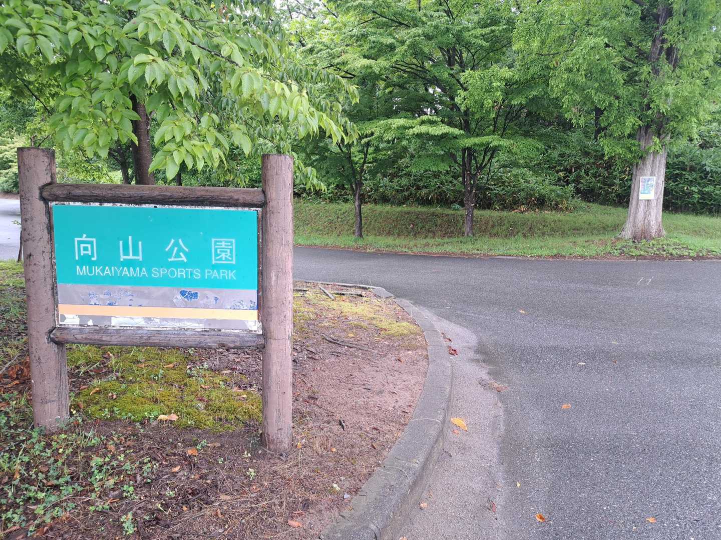 着いたら雨でした…( ´･ω･` )
徹夜で運転だったので、とりあえず仮眠(´-﹃-`)Zｚ…
起きたらなんとなーく雨が弱くなってたので出発！
向山公園に車を駐めさせていただきました🅿️