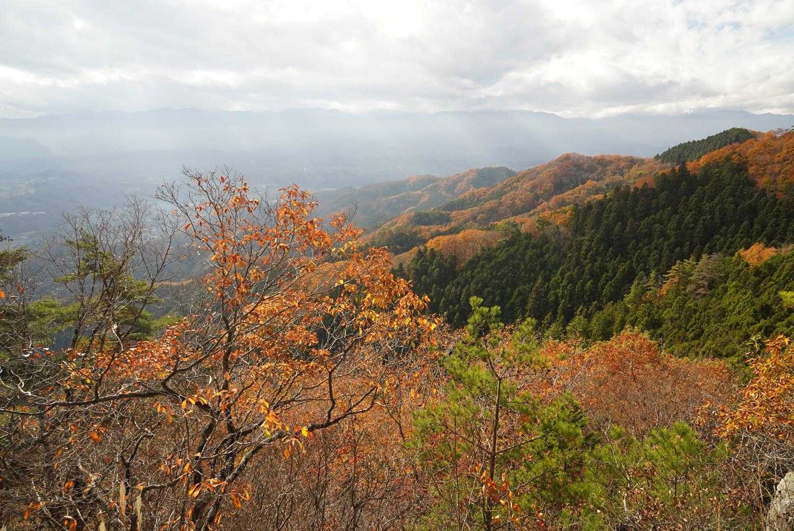 陽光が差し、山肌の紅葉が輝いた🍁