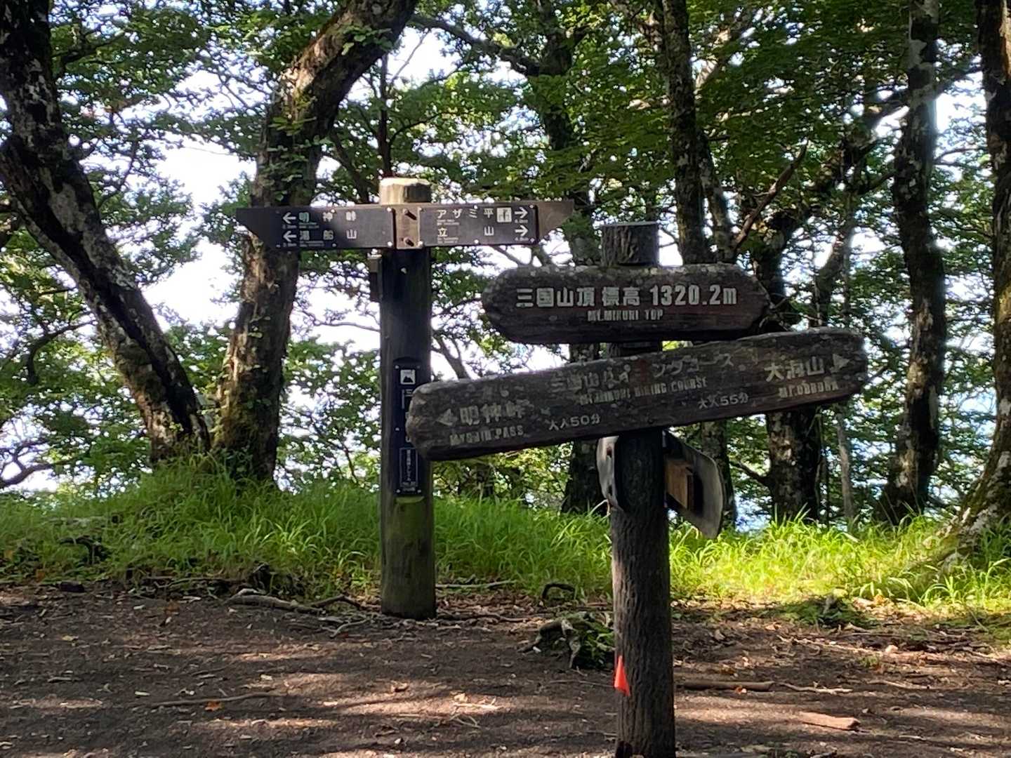 三国峠-三国山-楢木山-大洞山-畑尾山 往復コースの写真
