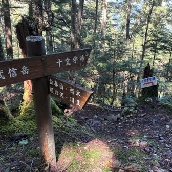 十文字小屋は人気無し