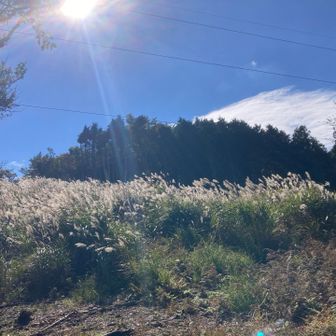 ススキ🌾があって道がみえません

15秒くらい我慢すれば抜けれます🤭
※左に鉄塔があってその下からなら5秒ですみます。そこが登山道のようだと帰りに知りました
