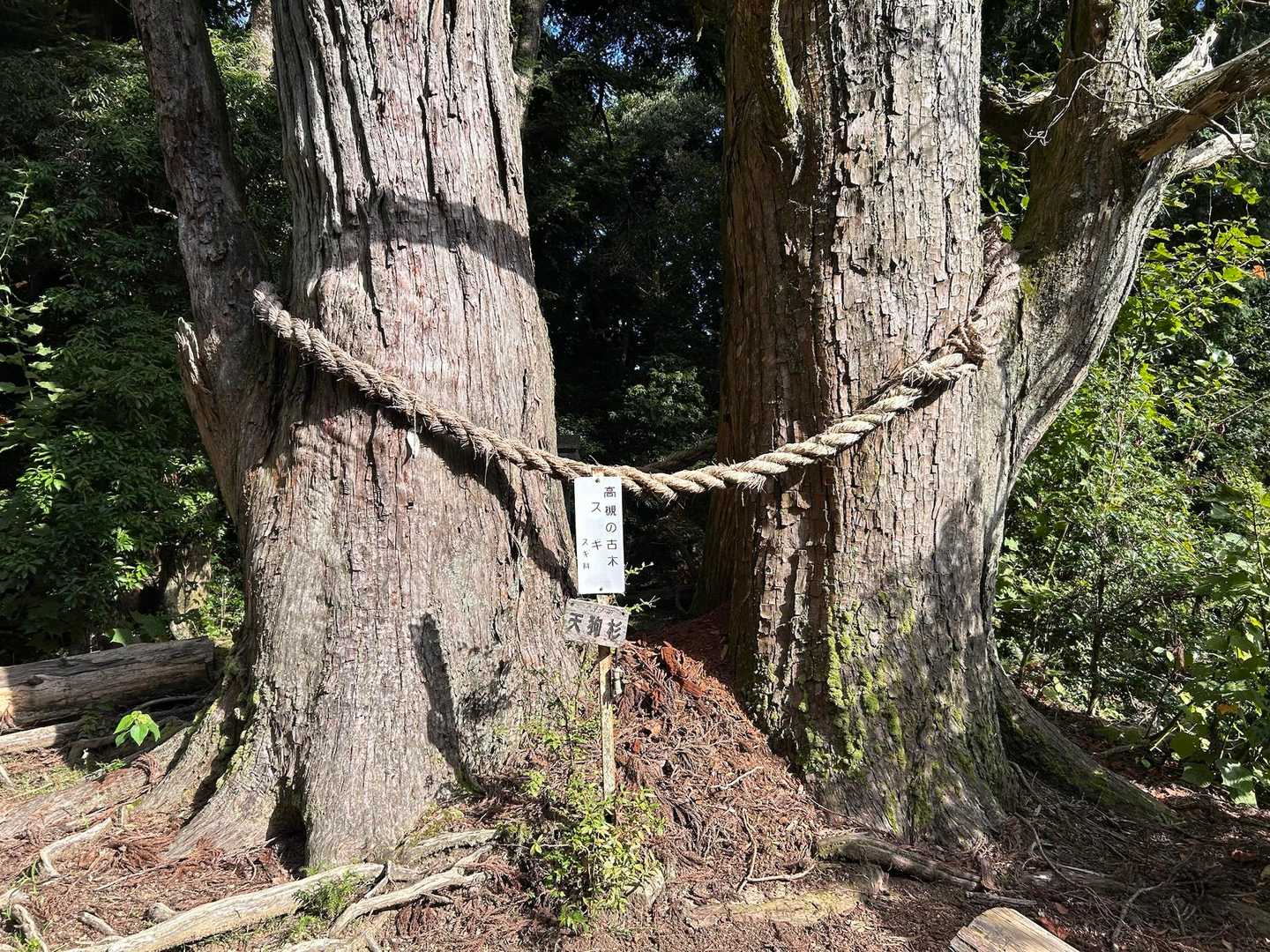 ポンポン山往復 | 初心者から楽しめる、声に出したくなる不思議な山の写真
