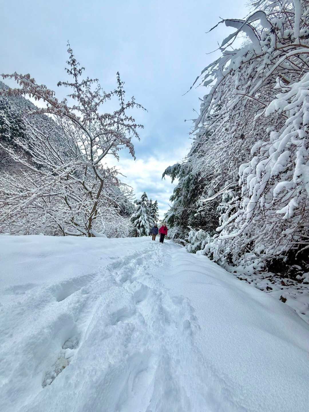登山口から雪がめちゃ積もってる！