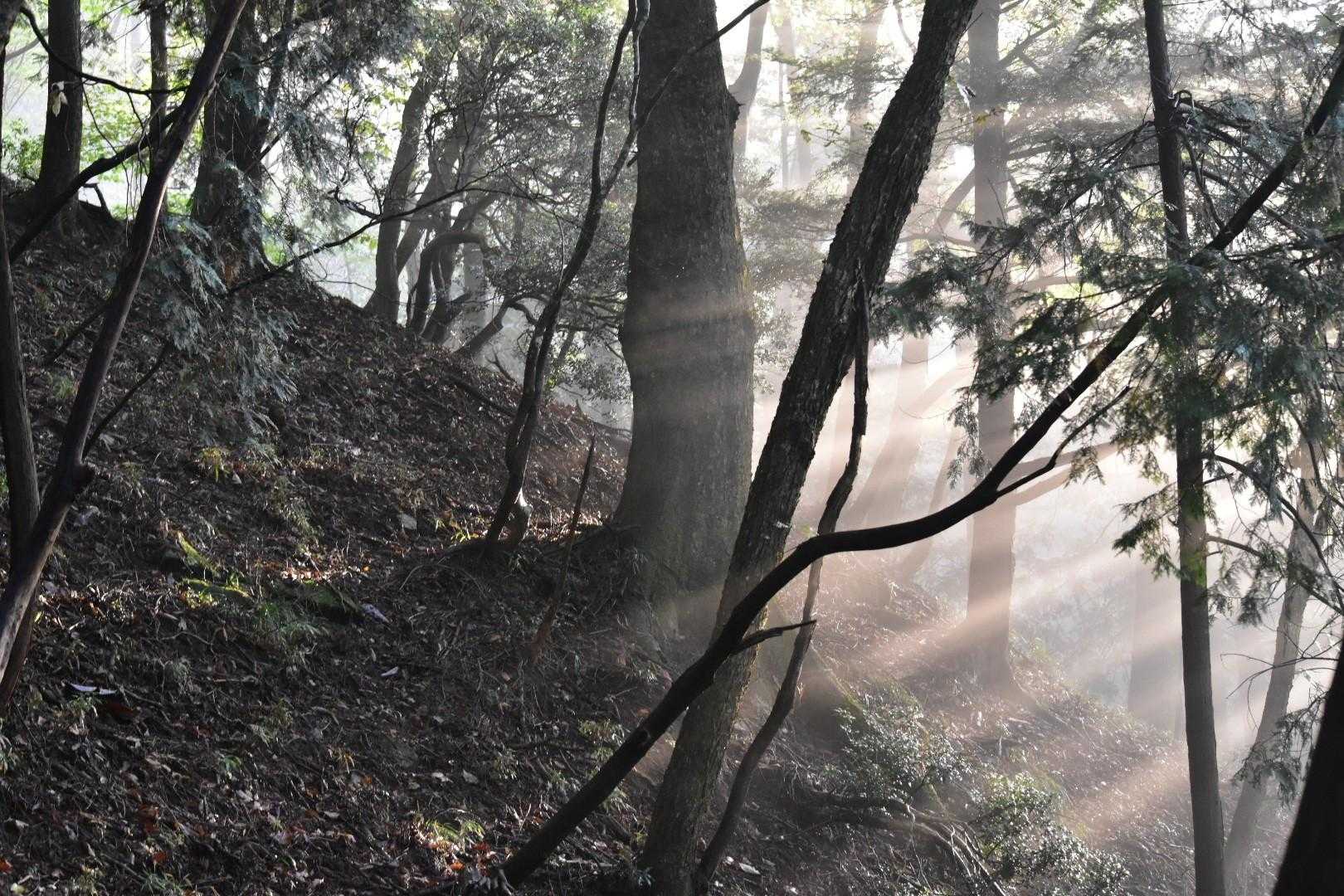 最初はビミョーな天気！
直前まで雨にふられましたがなんとも神秘的な光芒が見れました！