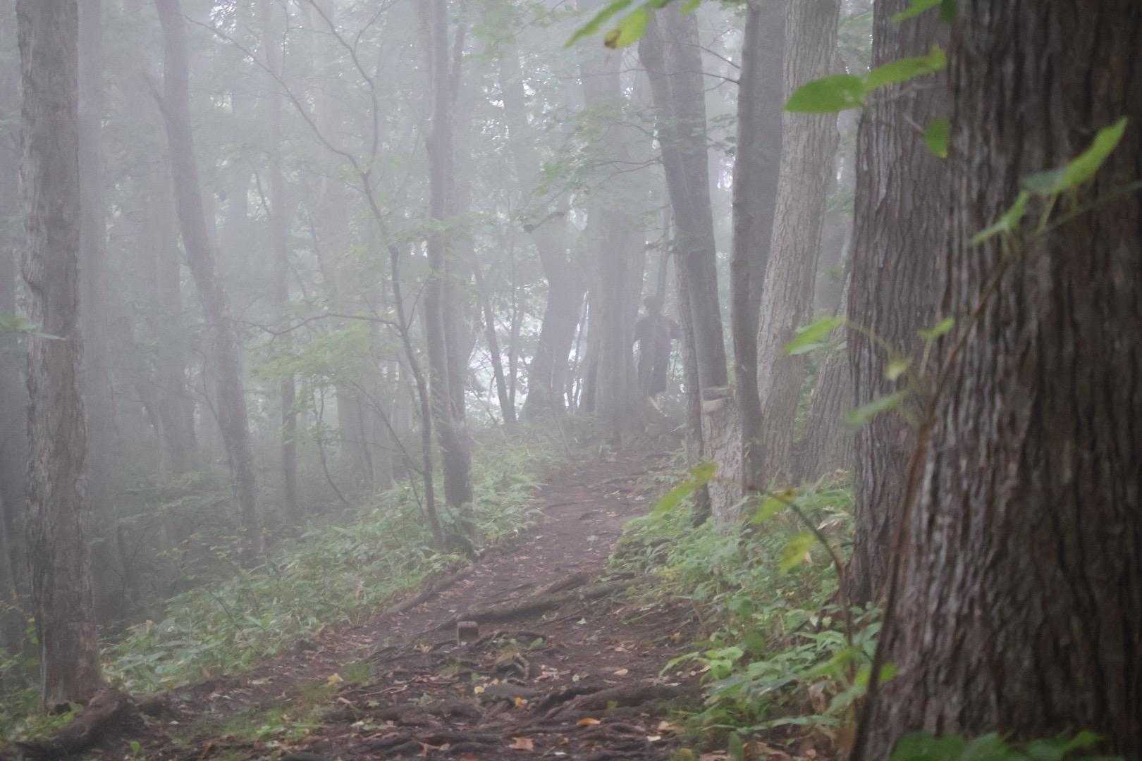 いなおさんがガスの中に消えていった

帰りはたいちさんとバタリで
楽しい三角山でした！ありがとうございます