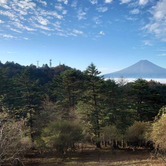御巣鷹山山頂直下から