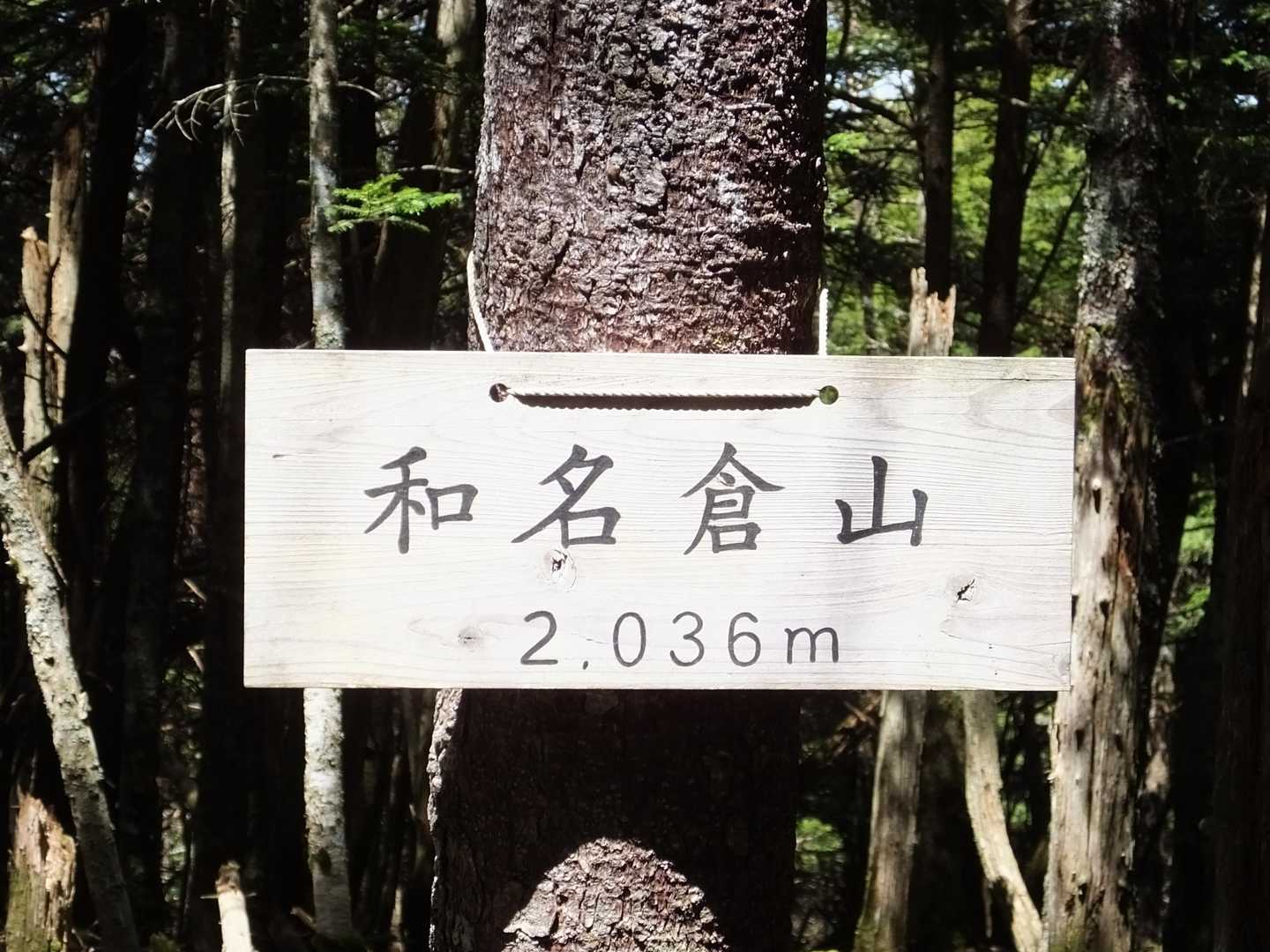 やっと着いたー！