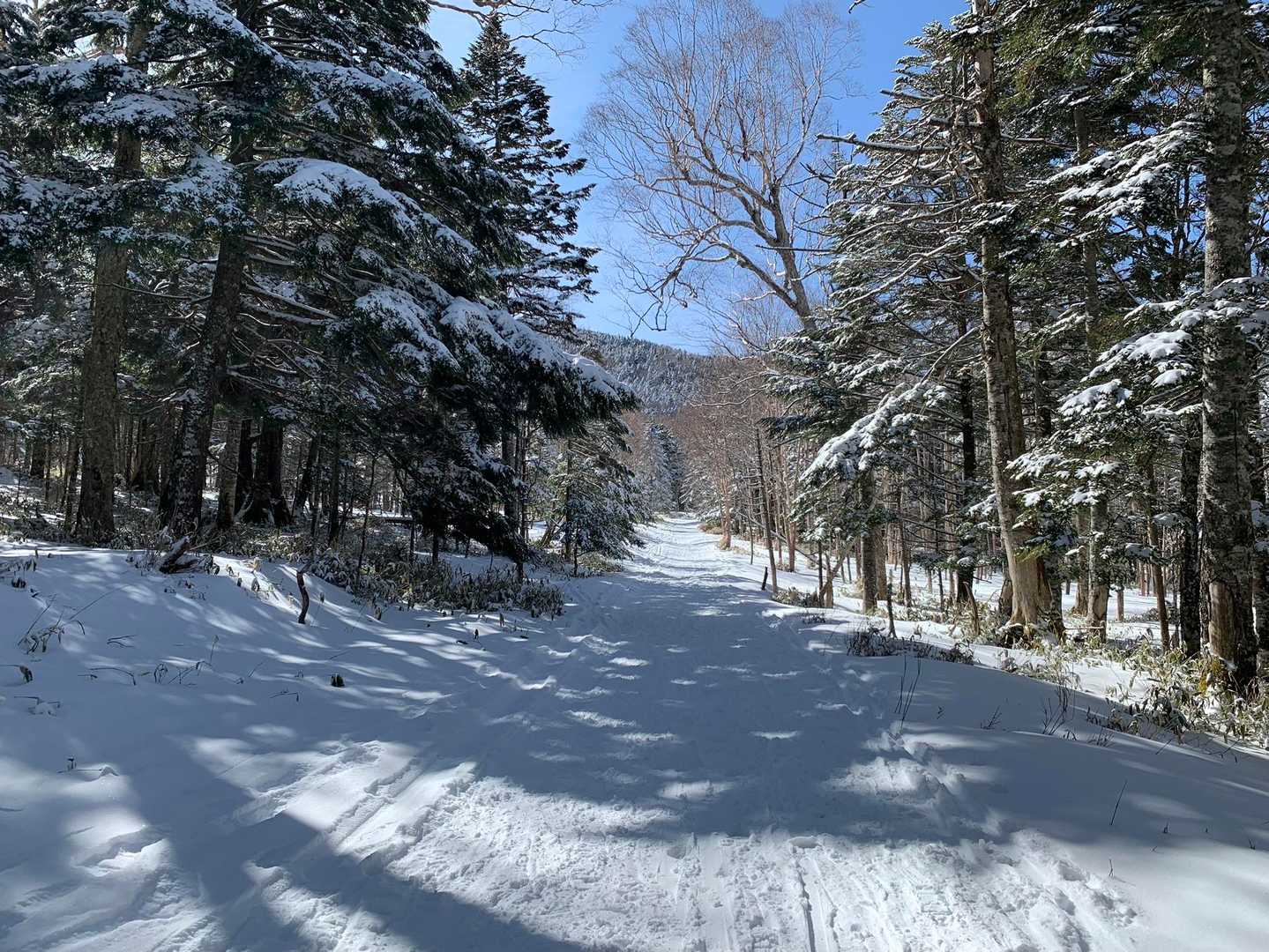 スノーシューでの横移動はとにかく最高😃