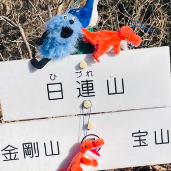 日連山 山頂

🦖ティラノサウルス軌跡コースにて、

抜きつ抜かれつ仲良くなったスンスンと

一緒にパチリ😉✨


　　　　スンスンめっちゃ楽しそ😍