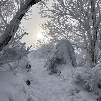 登っていると、
ゾーンに入るときがあって
無意識領域😂
