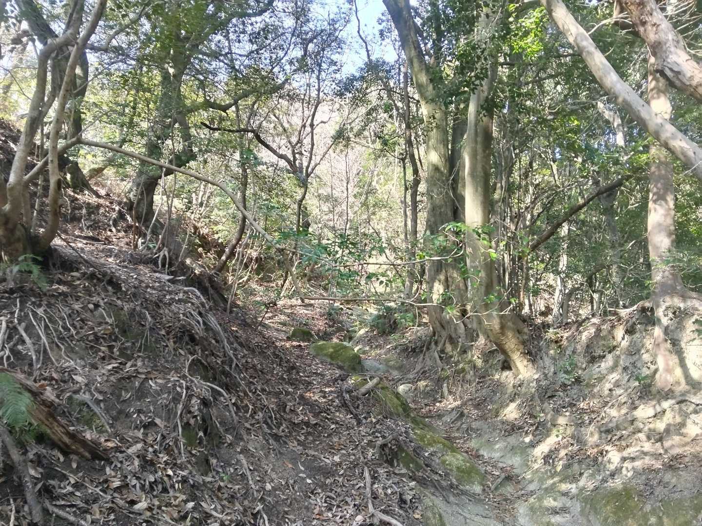 土器山 往復コースの写真