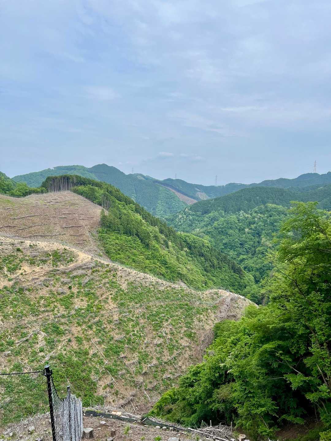 柏木野バス停-湯場ノ頭-連行峰-醍醐丸-独標-市道山-石津 縦走コースの写真