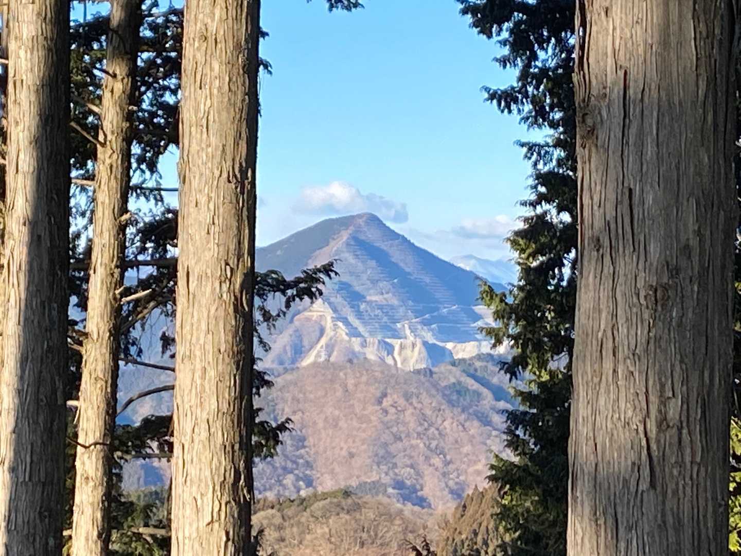 木々の間からの武甲山。