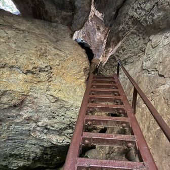 めっちゃ楽し〜