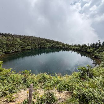 鏡沼