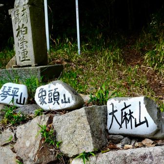 大麻山は行きませんでした