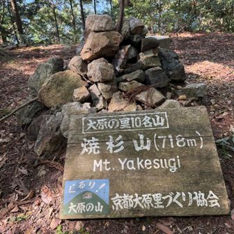 焼杉山ピーク✨明るい里山ですが、眺望は少なし